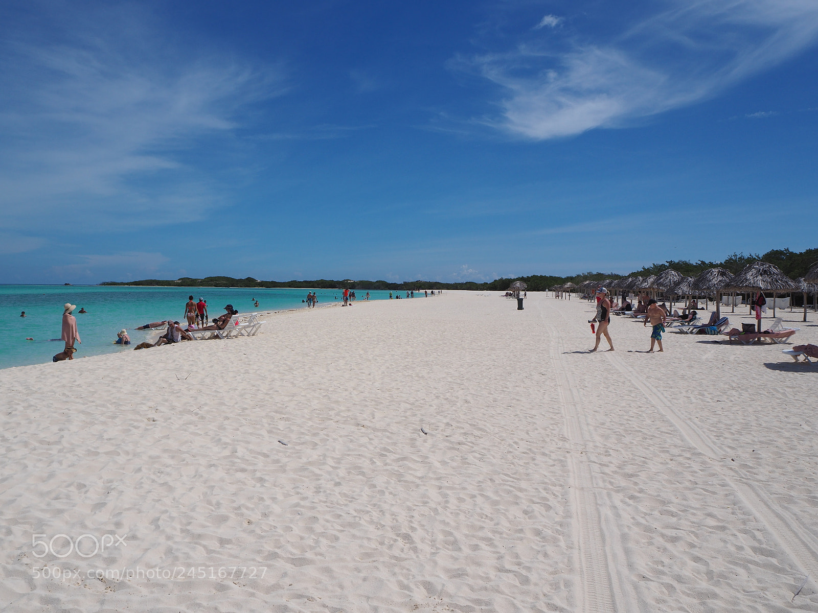 Olympus OM-D E-M10 II sample photo. Cayo coco, cuba photography
