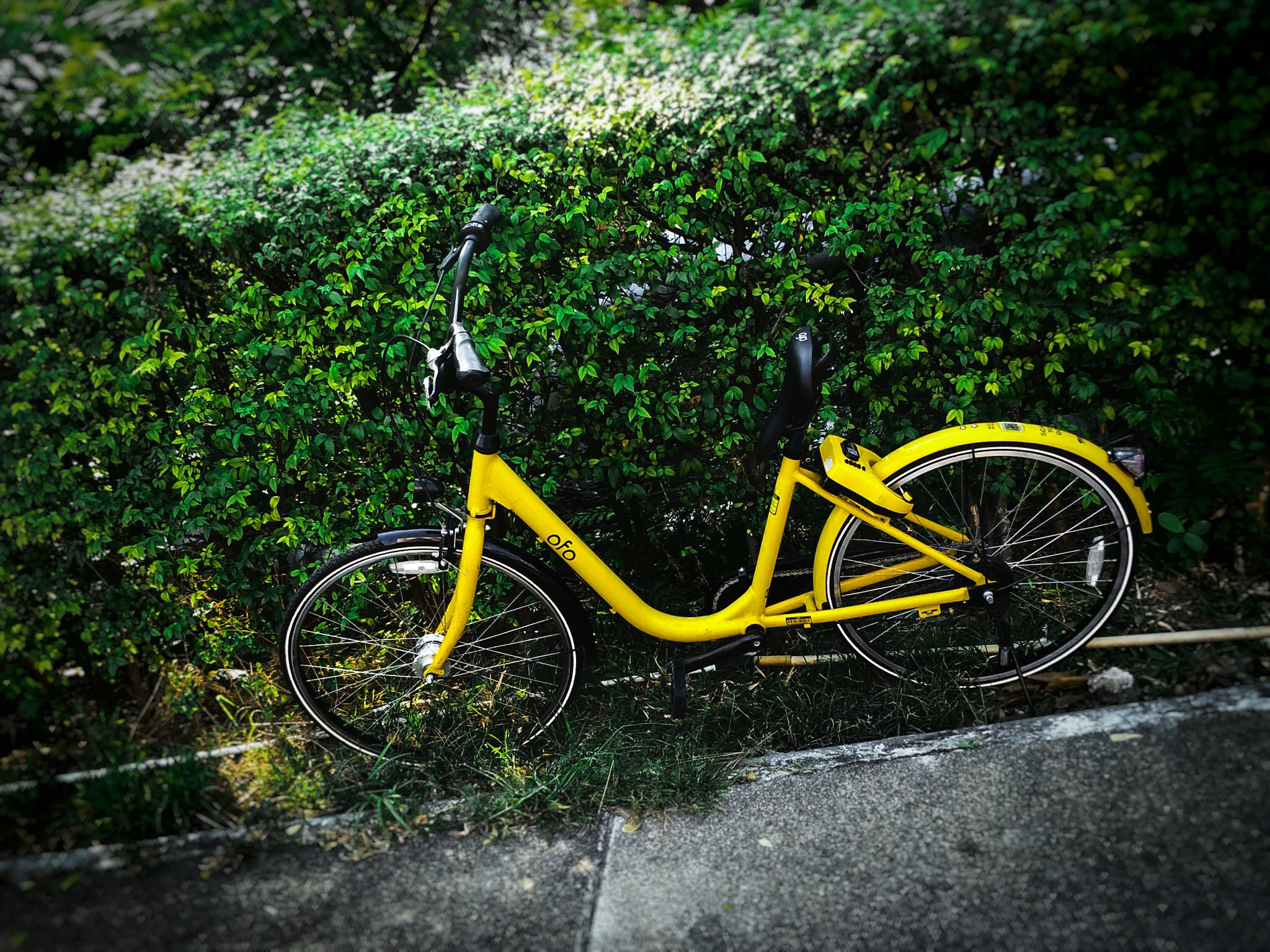 OPPO R9S sample photo. Freak bike photography