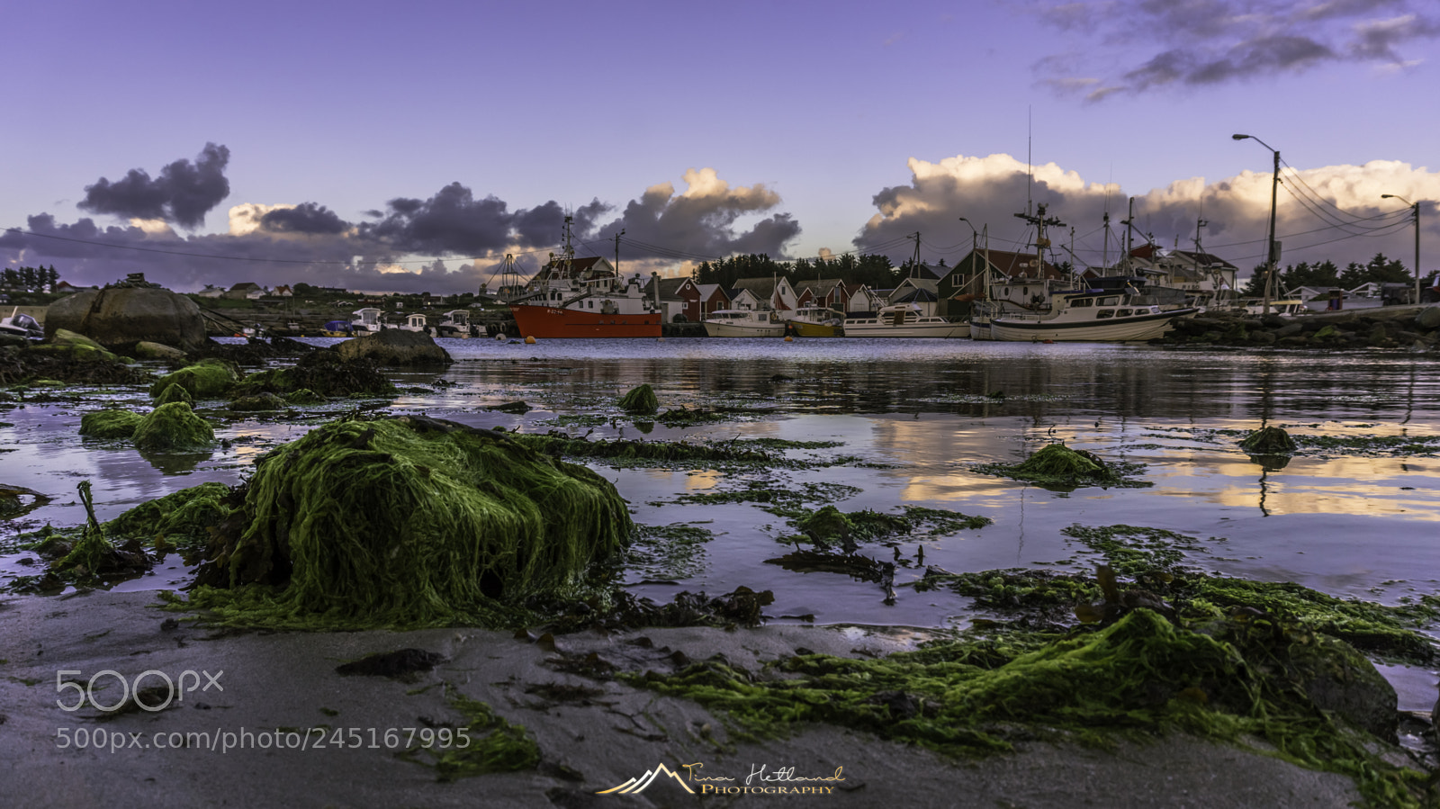 Sony Alpha a5000 (ILCE 5000) sample photo. Harbour sunset photography