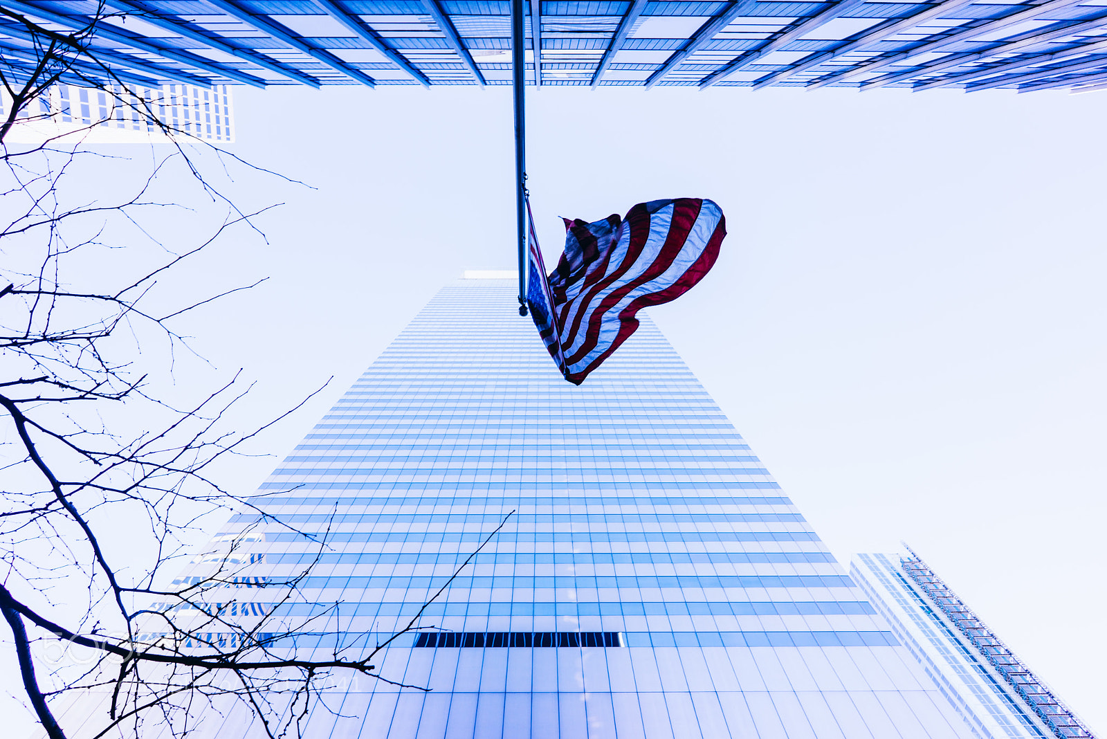 Sony a7R sample photo. Keep your head up photography