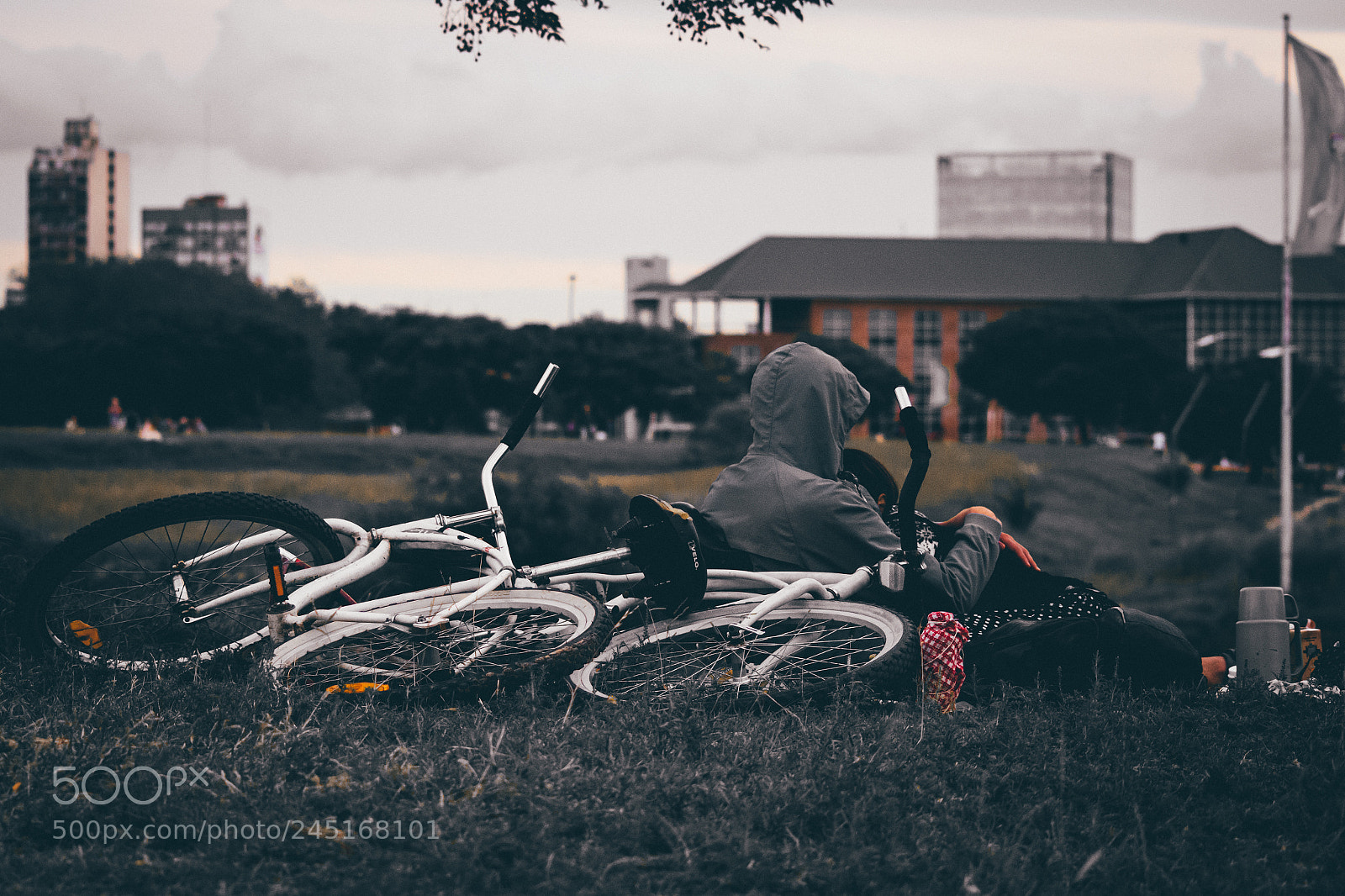 Nikon D7100 sample photo. Bike photography