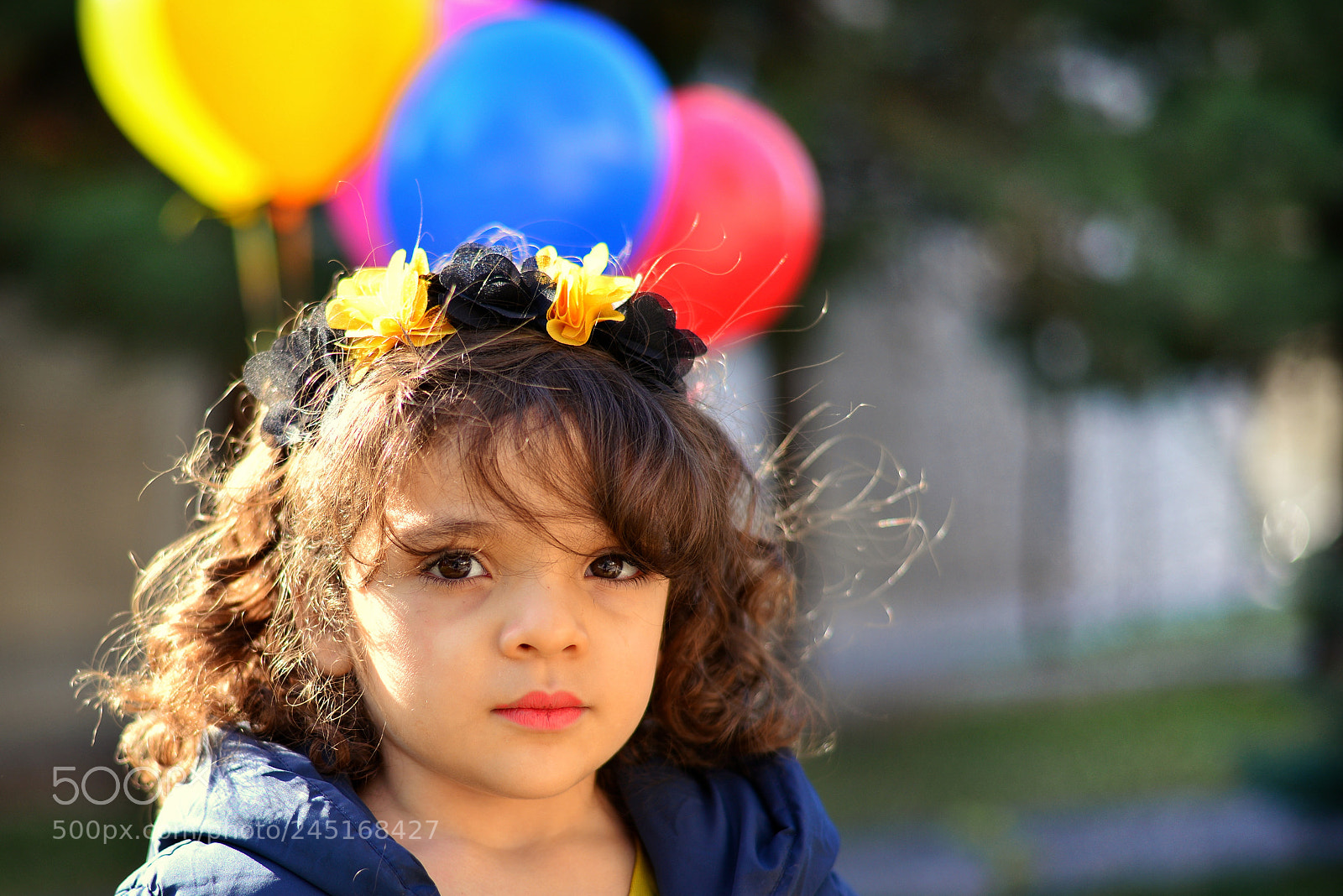Nikon D610 sample photo. Untitled photography