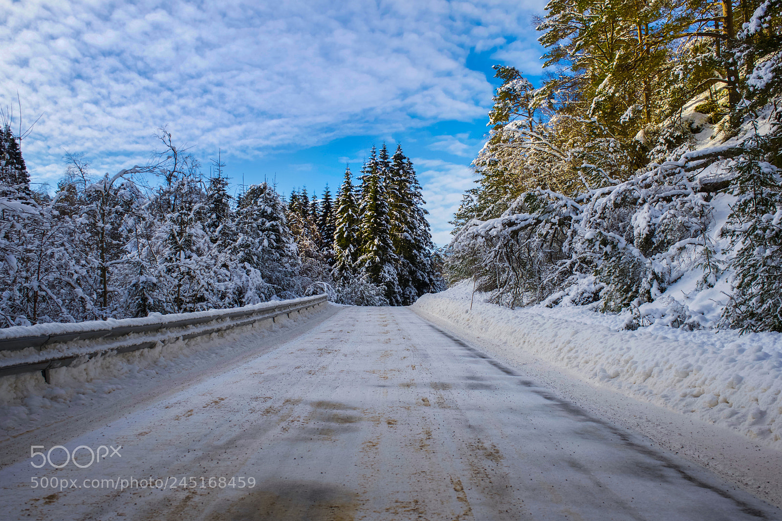 Sony a7 II sample photo. Winter road photography