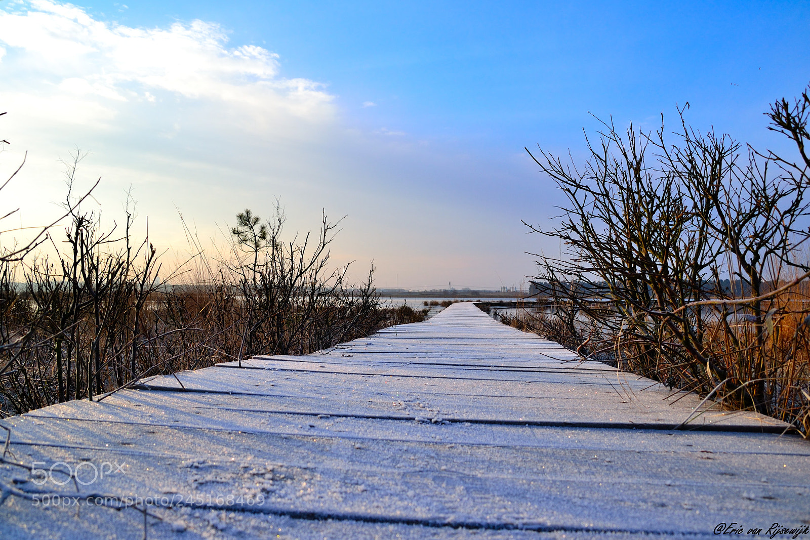 Nikon D3100 sample photo. Huis ter heide, de photography