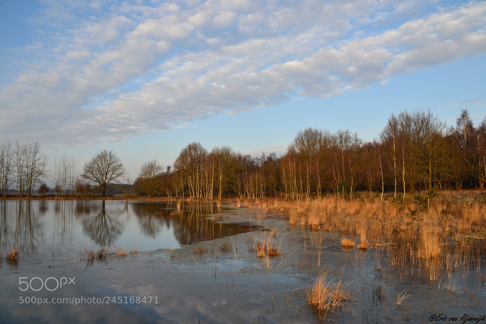 Nikon D3100 sample photo. Huis ter heide, de photography