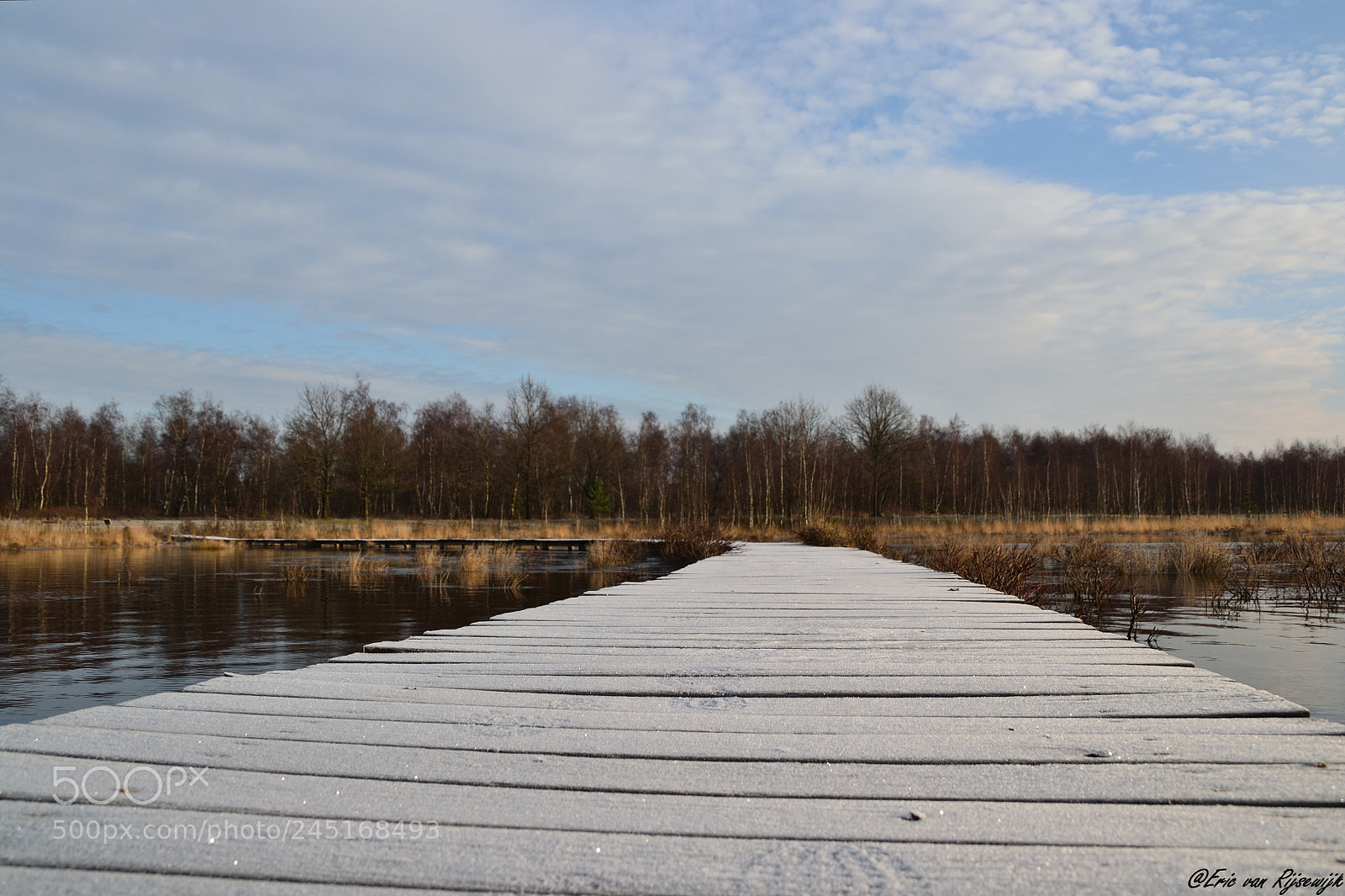 Nikon D3100 sample photo. Huis ter heide, de photography