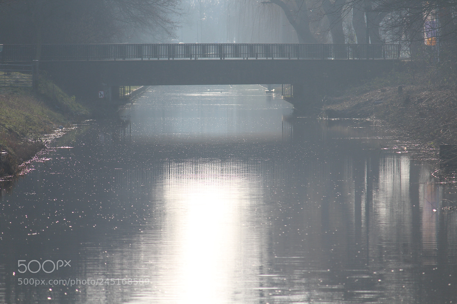Canon EF-S 55-250mm F4-5.6 IS II sample photo. Eerie hour of reflection photography