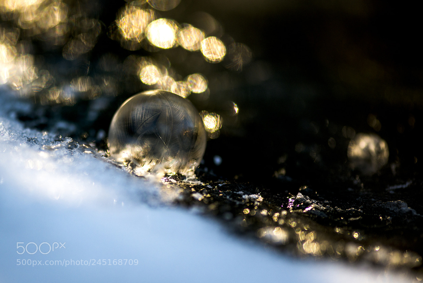 Nikon D800 sample photo. Frozen bubble photography