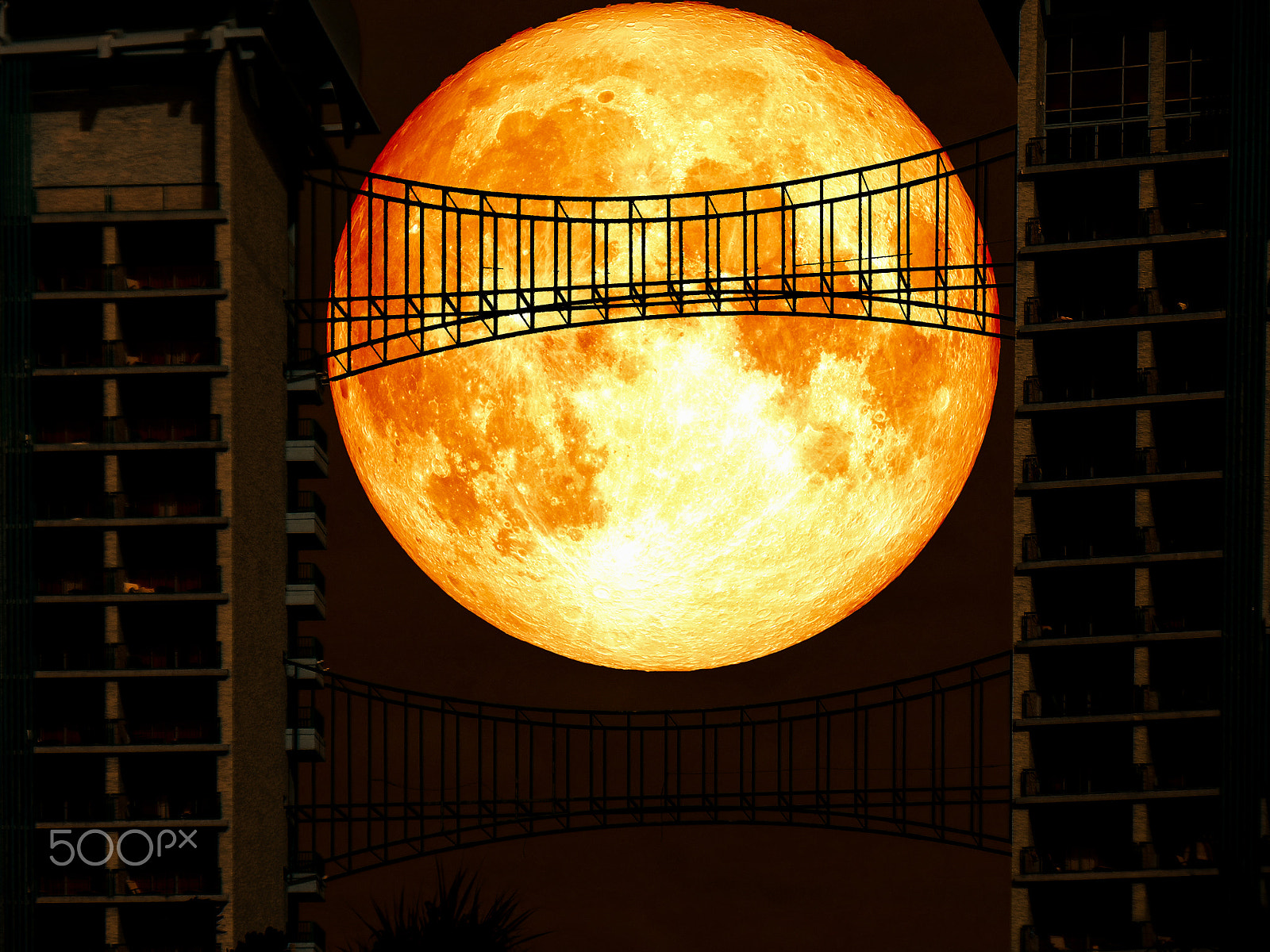 Samsung WB250F/WB251F/WB252F sample photo. Super blue blood moon back middle metal bridge photography