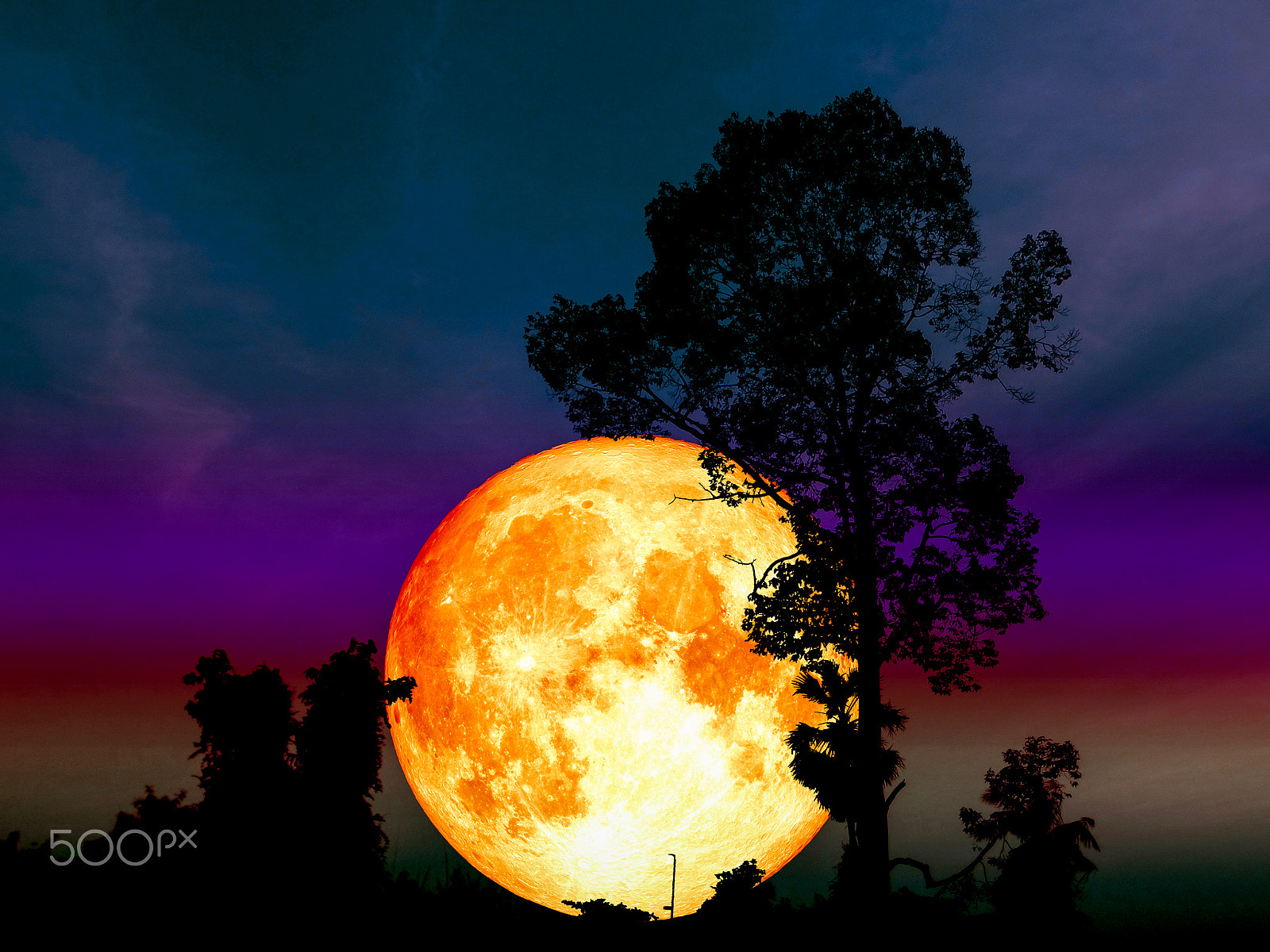 Samsung WB250F/WB251F/WB252F sample photo. Super full blood moon back middle silhouette tree colorful sky photography