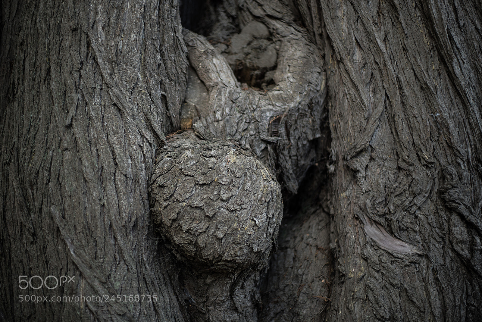 Sony a7S II sample photo. Wooden infant photography