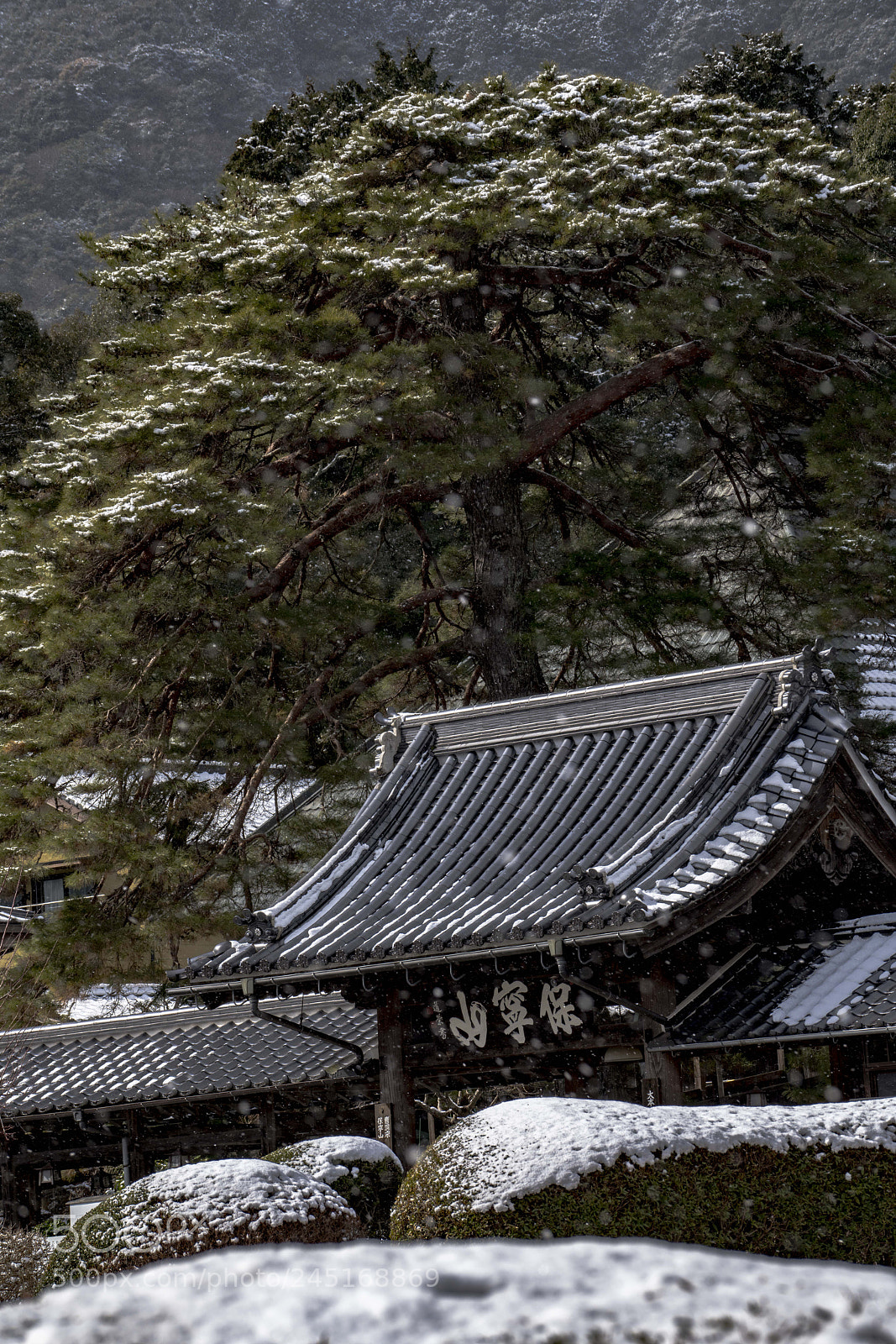 Sony a7R III sample photo. 雪景色 photography