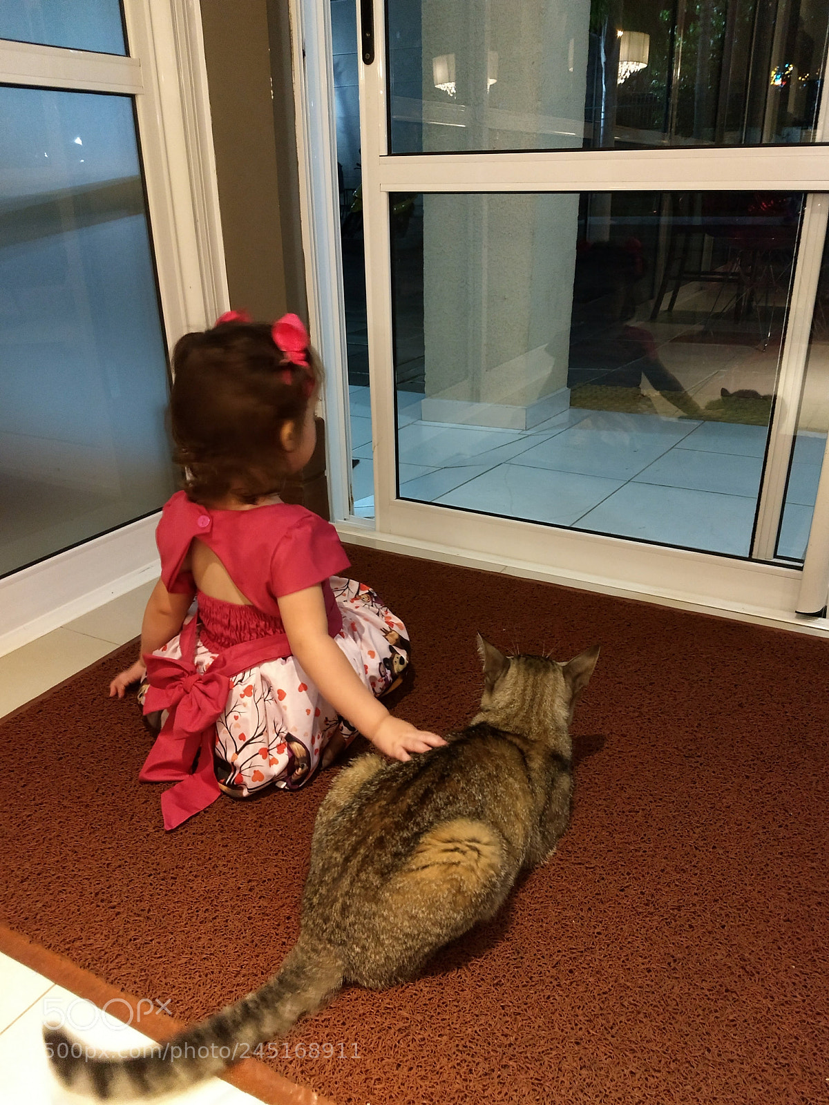 Motorola Moto Z (2) Play sample photo. Lara e o gato photography
