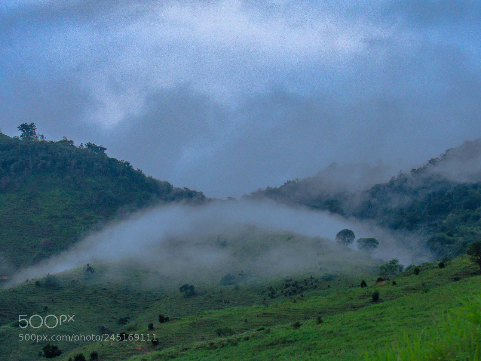 Canon PowerShot SX530 HS sample photo. Fog in the mountains photography