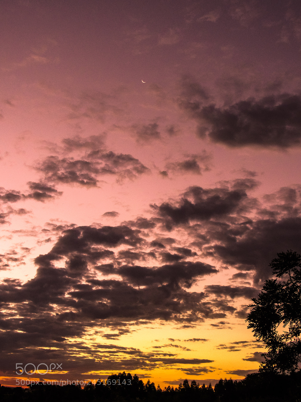 Canon PowerShot SX530 HS sample photo. Pink sunset photography