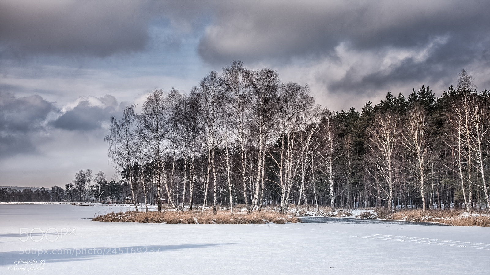 Nikon D7200 sample photo. Na stawie krasnobród photography