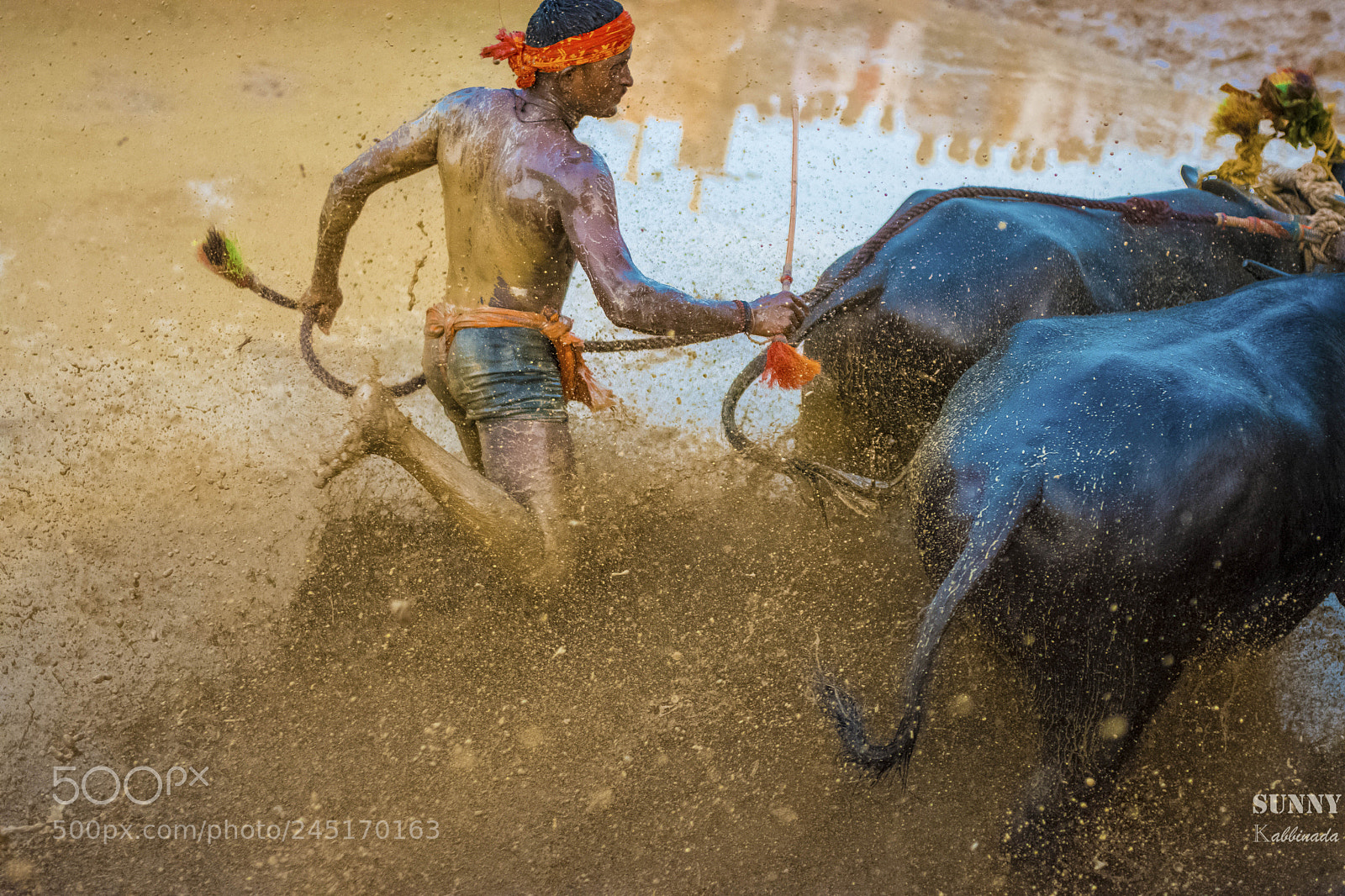 Nikon D7200 sample photo. Kambala photography