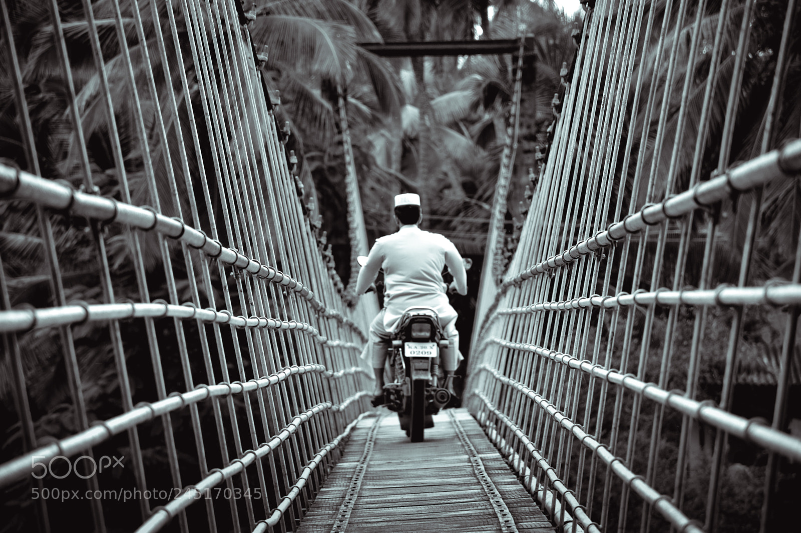 Nikon D5500 sample photo. Hanging bridge photography