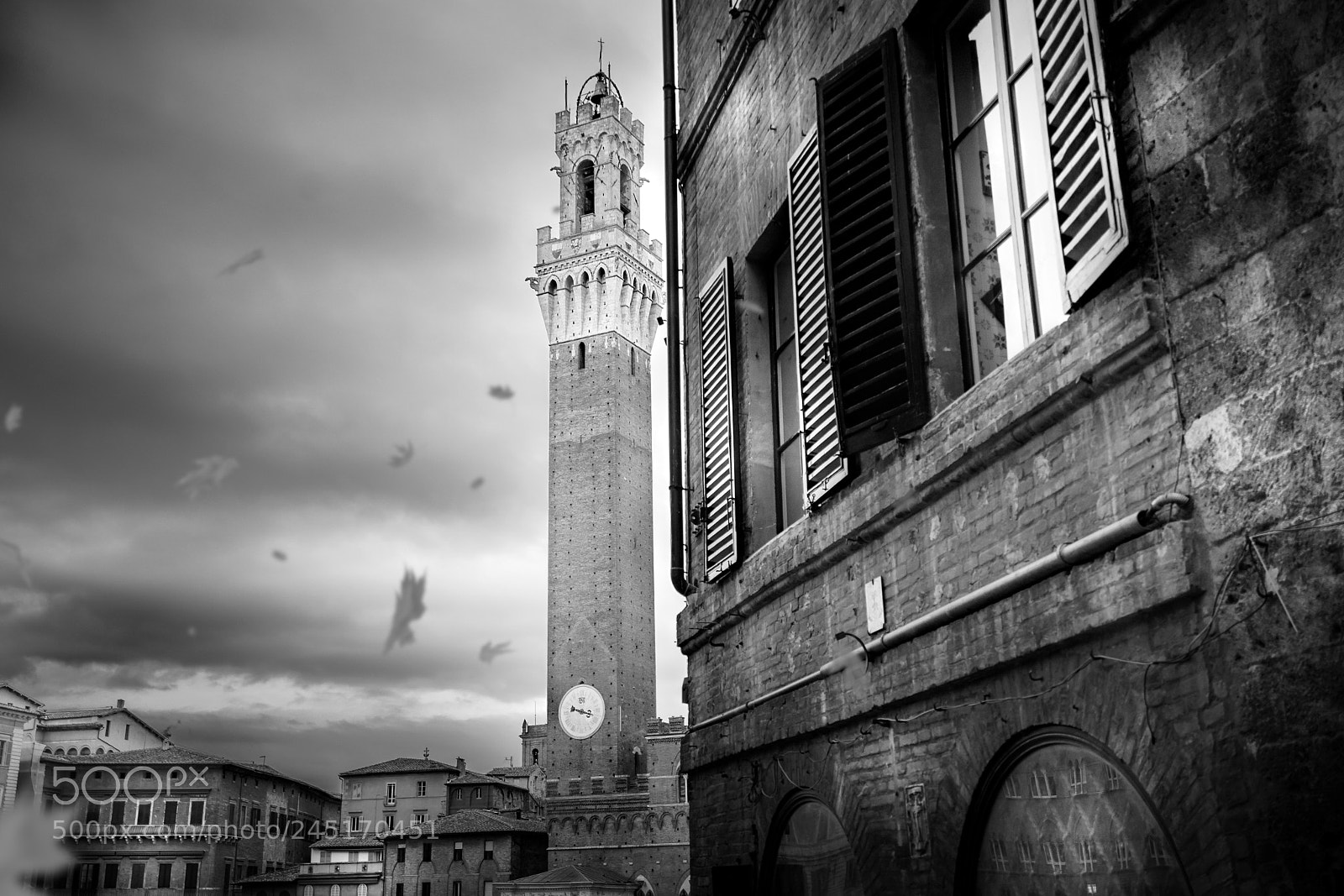 Sony a7 II sample photo. Siena, piazza del campo photography