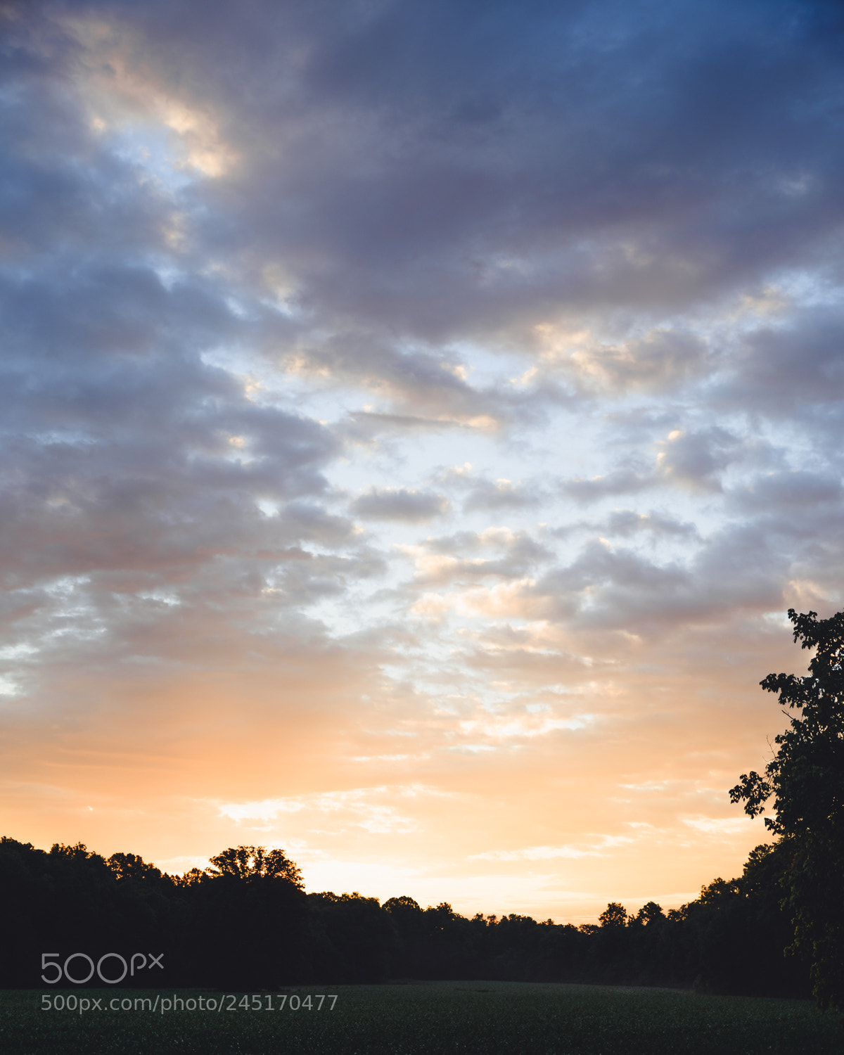 Nikon D600 sample photo. Roadside sunrise photography