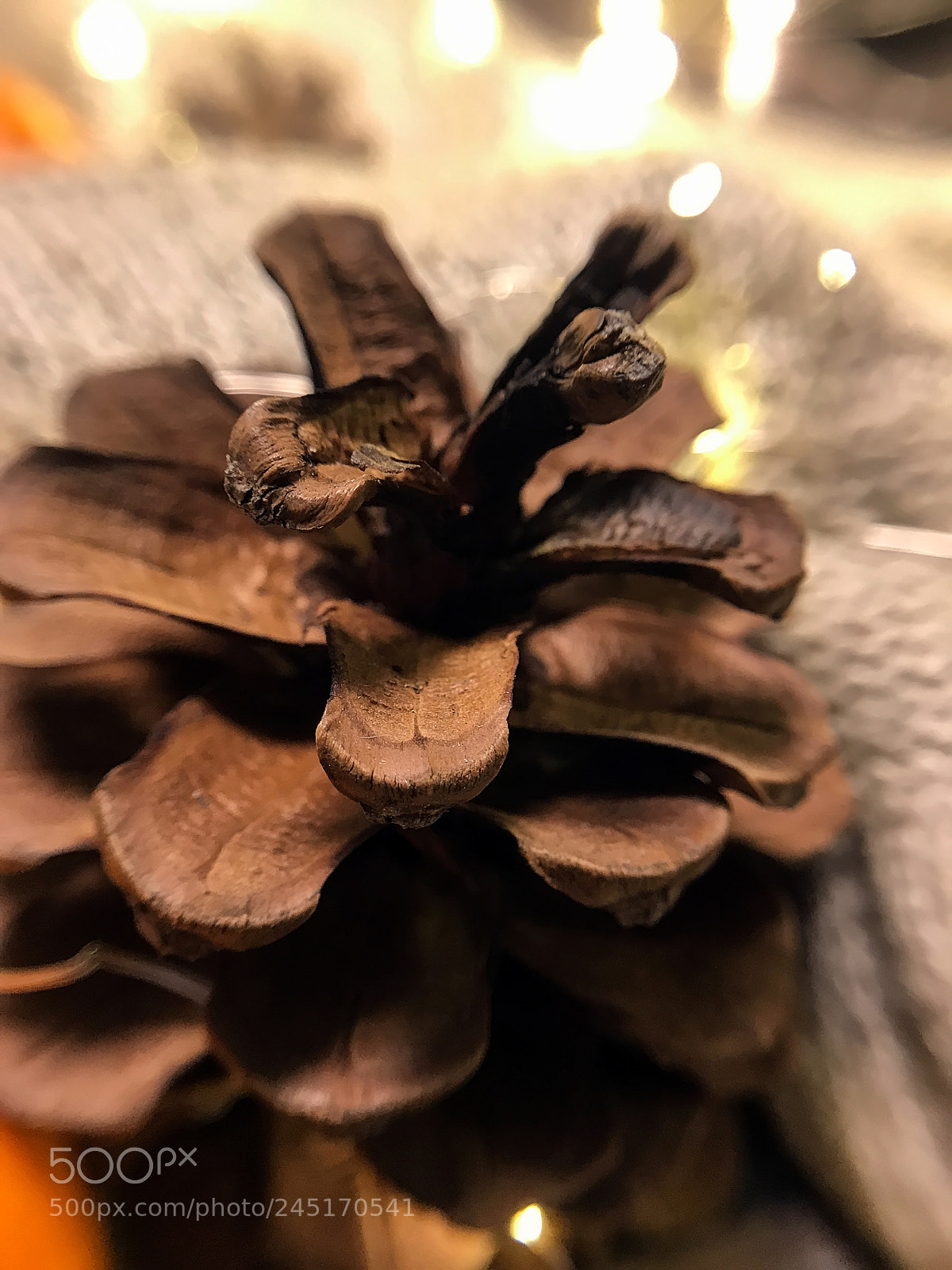 Apple iPhone 7 Plus sample photo. Fir cone decor photography