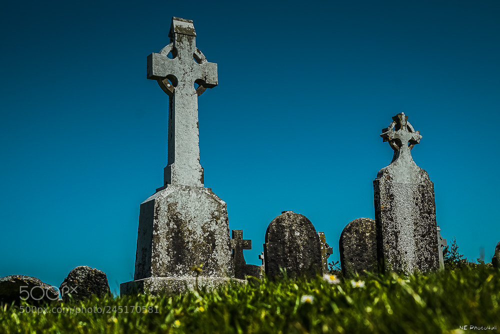 Sony ILCA-77M2 sample photo. Friedhof photography
