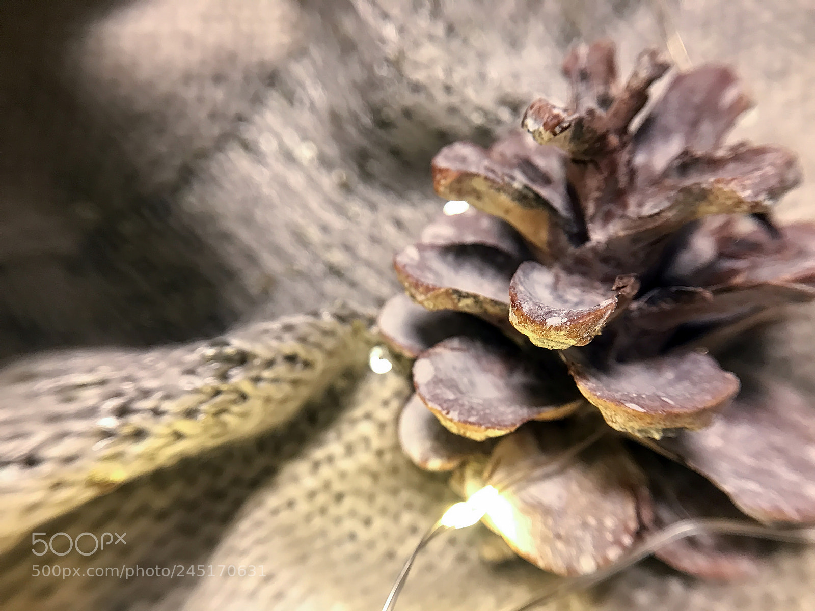 Apple iPhone 7 Plus sample photo. Fir cone decor photography