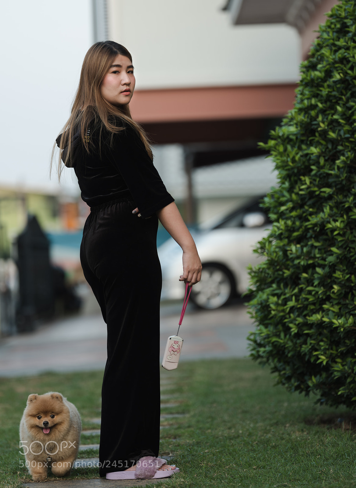 Fujifilm GFX 50S sample photo. Gfx photography