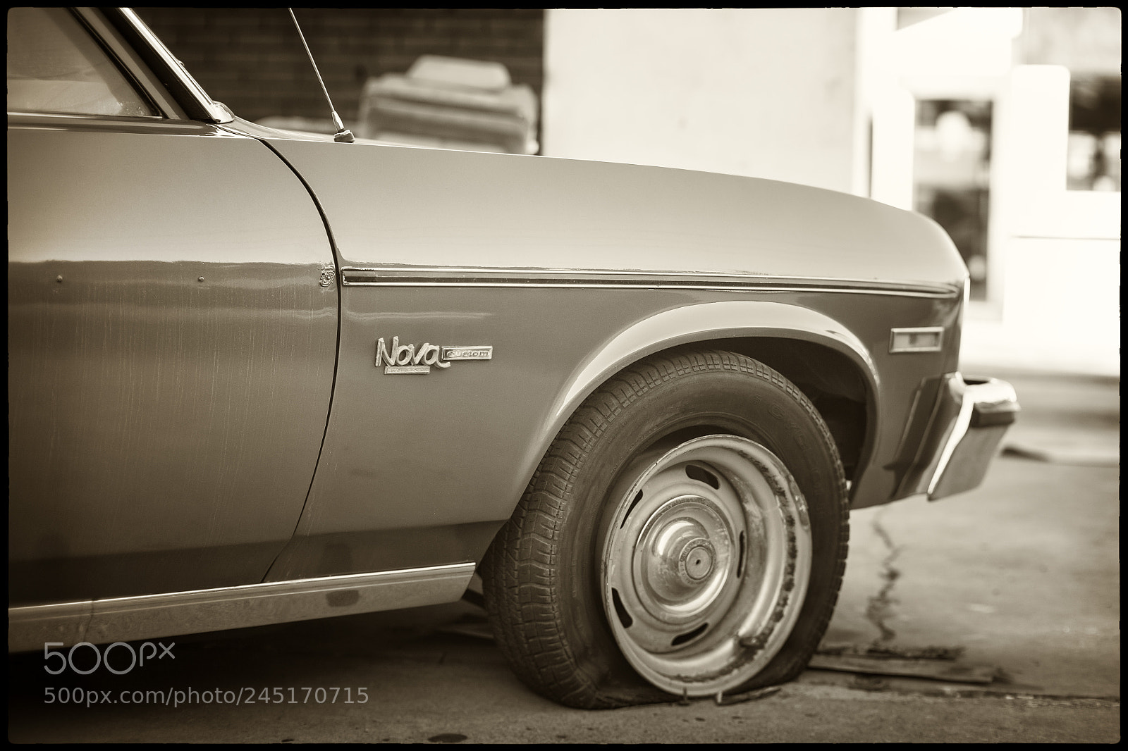Leica M Monochrom (Typ 246) sample photo. Nova custom photography