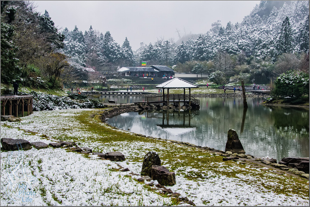 Pentax K-3 sample photo. Ming chi forest recreation photography