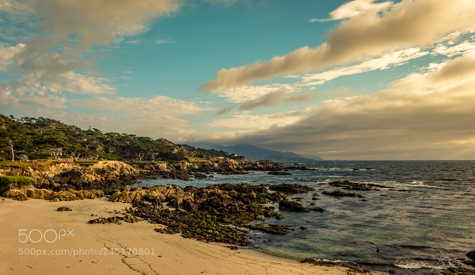 Nikon D810 sample photo. Coast of carmel photography