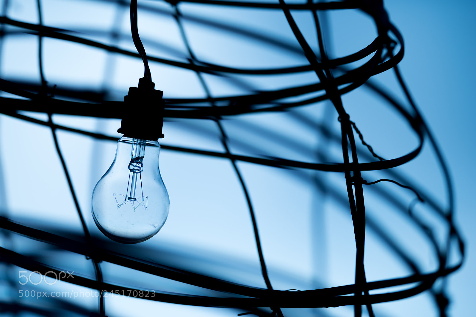 Nikon D800 sample photo. Light bulb photography