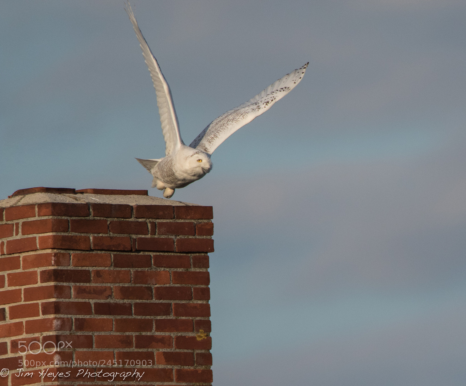 Canon EOS 7D Mark II sample photo. Snowy chimney launch photography