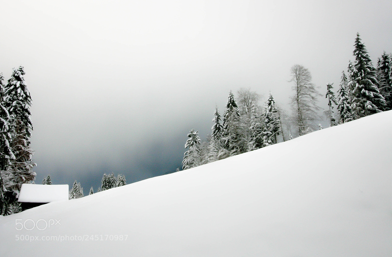 Canon EOS 400D (EOS Digital Rebel XTi / EOS Kiss Digital X) sample photo. Quiet winter scene photography