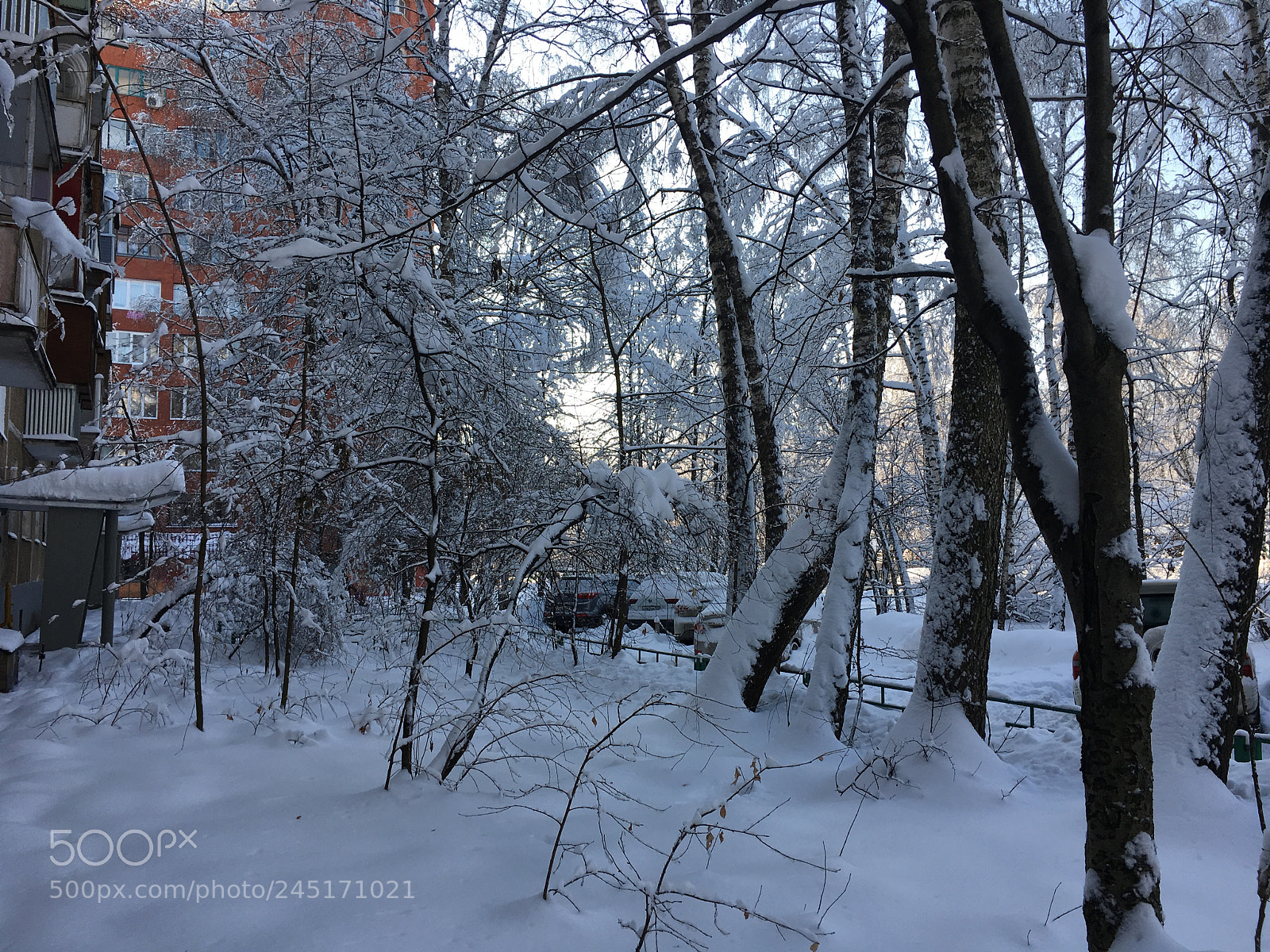 Apple iPhone 6s sample photo. Снега много не бывает ❄️❄️❄️❄️❄️ photography