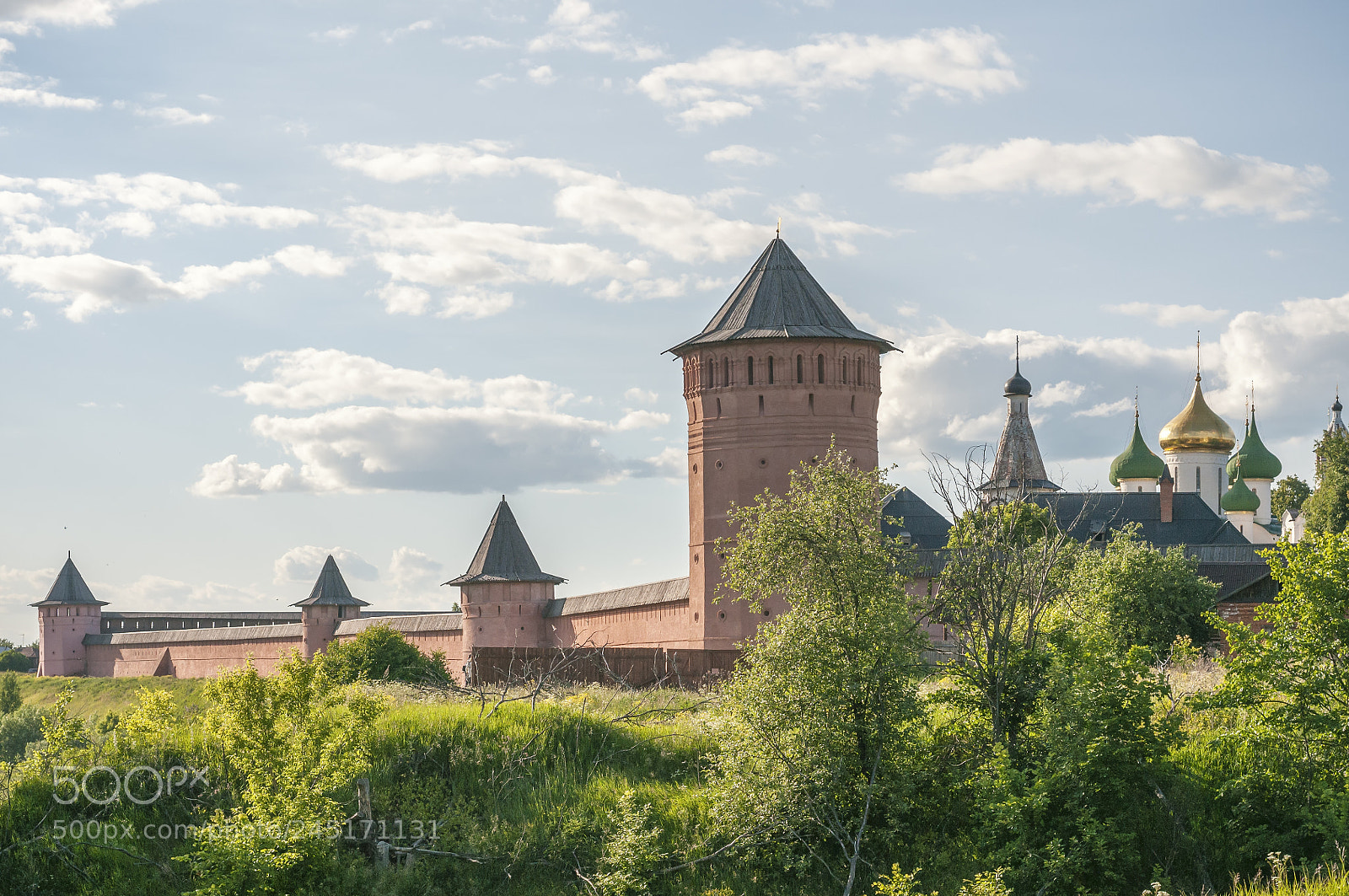 Nikon D300S sample photo. Spaso efimiev monastery in photography