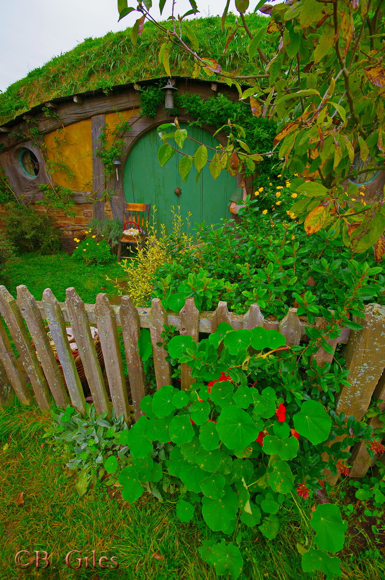 Sigma AF 10-20mm F4-5.6 EX DC sample photo. The shire photography