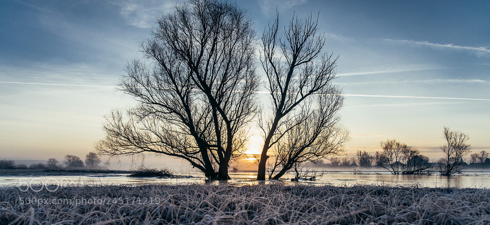 Nikon D700 sample photo. Good morning frost photography