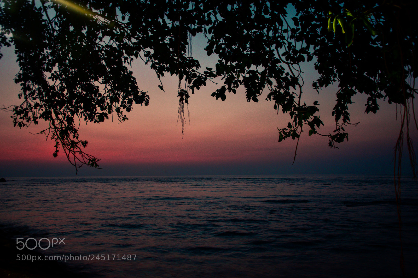 Nikon D5500 sample photo. Sun down photography