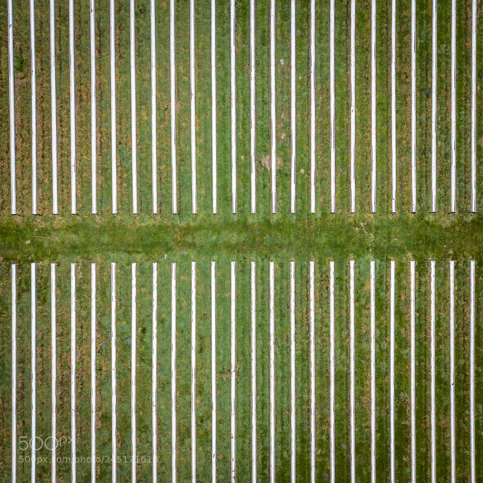 DJI FC220 sample photo. Plantations photography