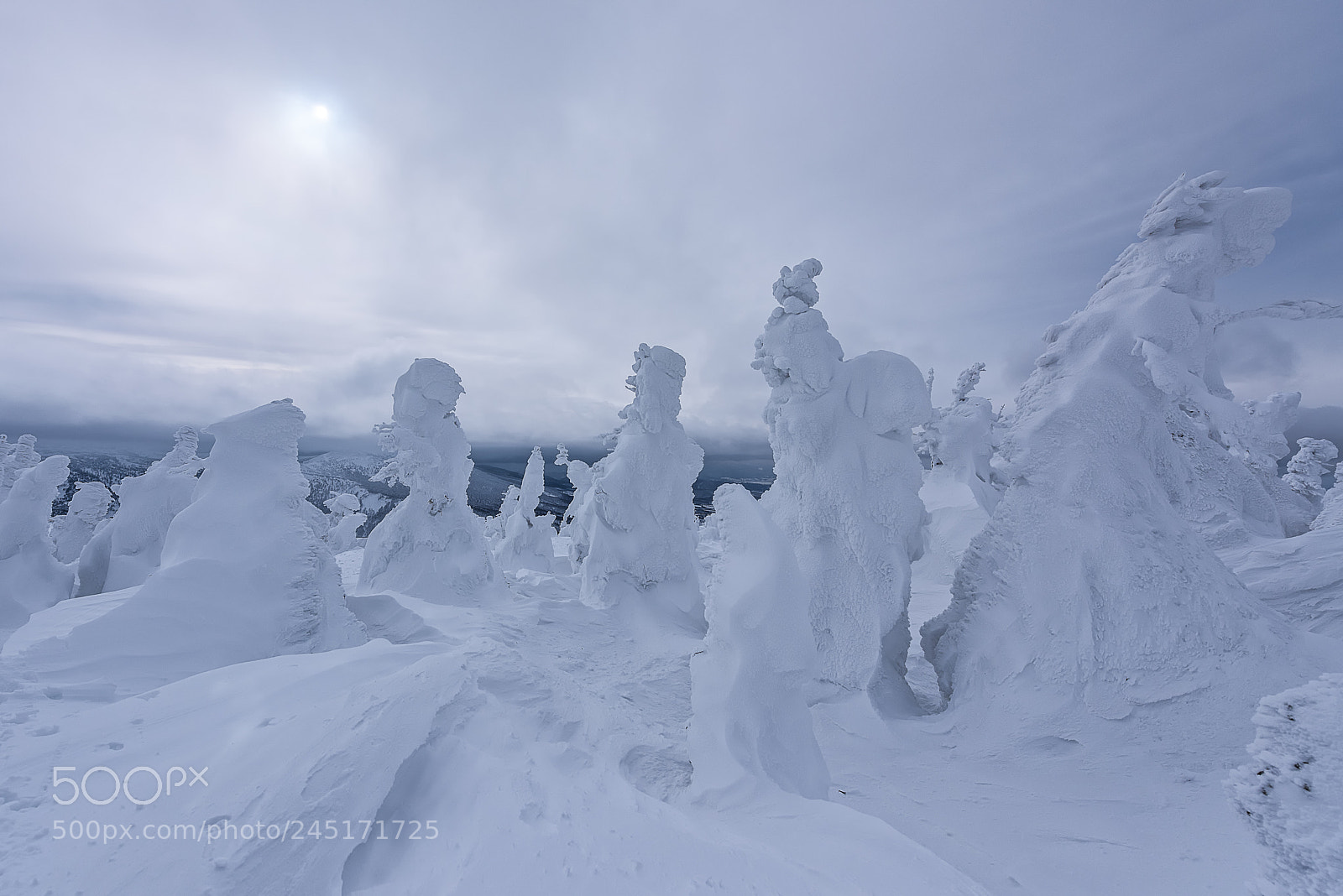 Nikon D810 sample photo. Snow monsters photography
