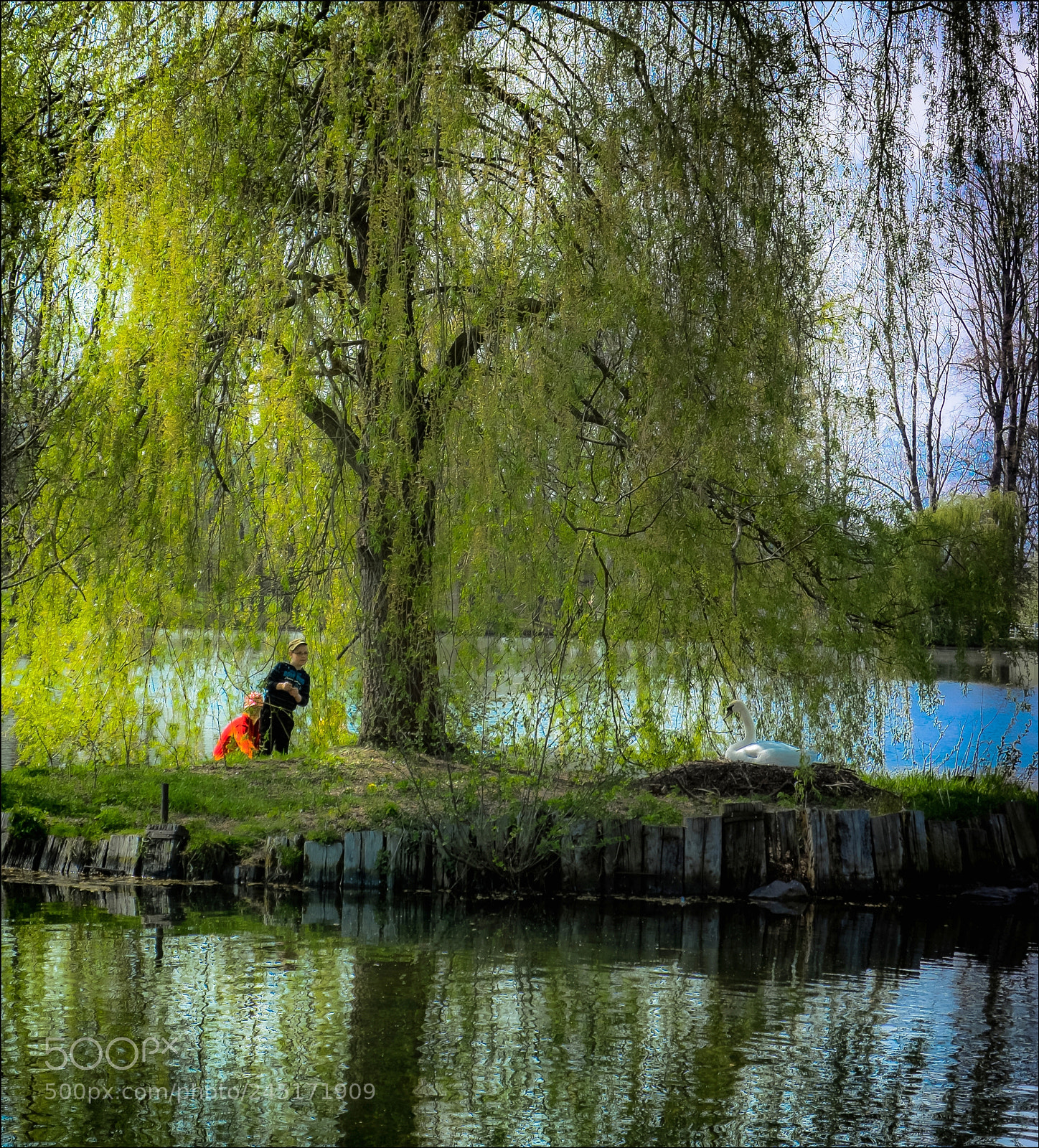 Fujifilm X-T1 sample photo. Children and swan photography