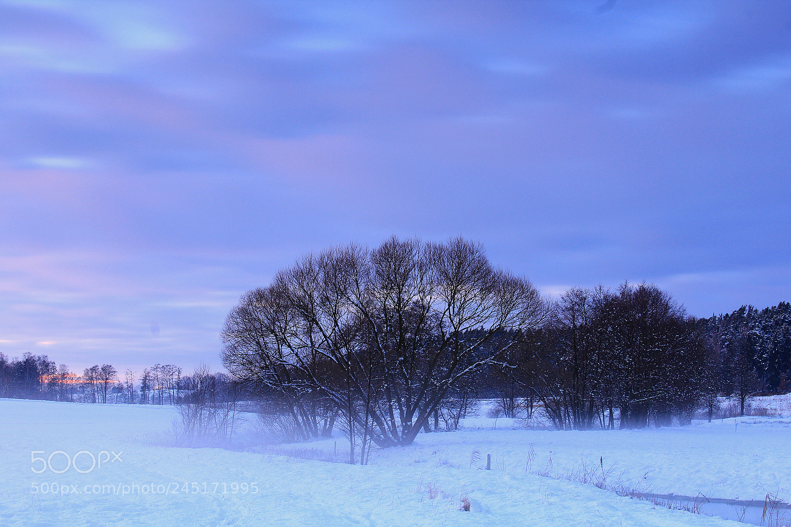 Canon EOS 1200D (EOS Rebel T5 / EOS Kiss X70 / EOS Hi) sample photo. Winter evening trip photography