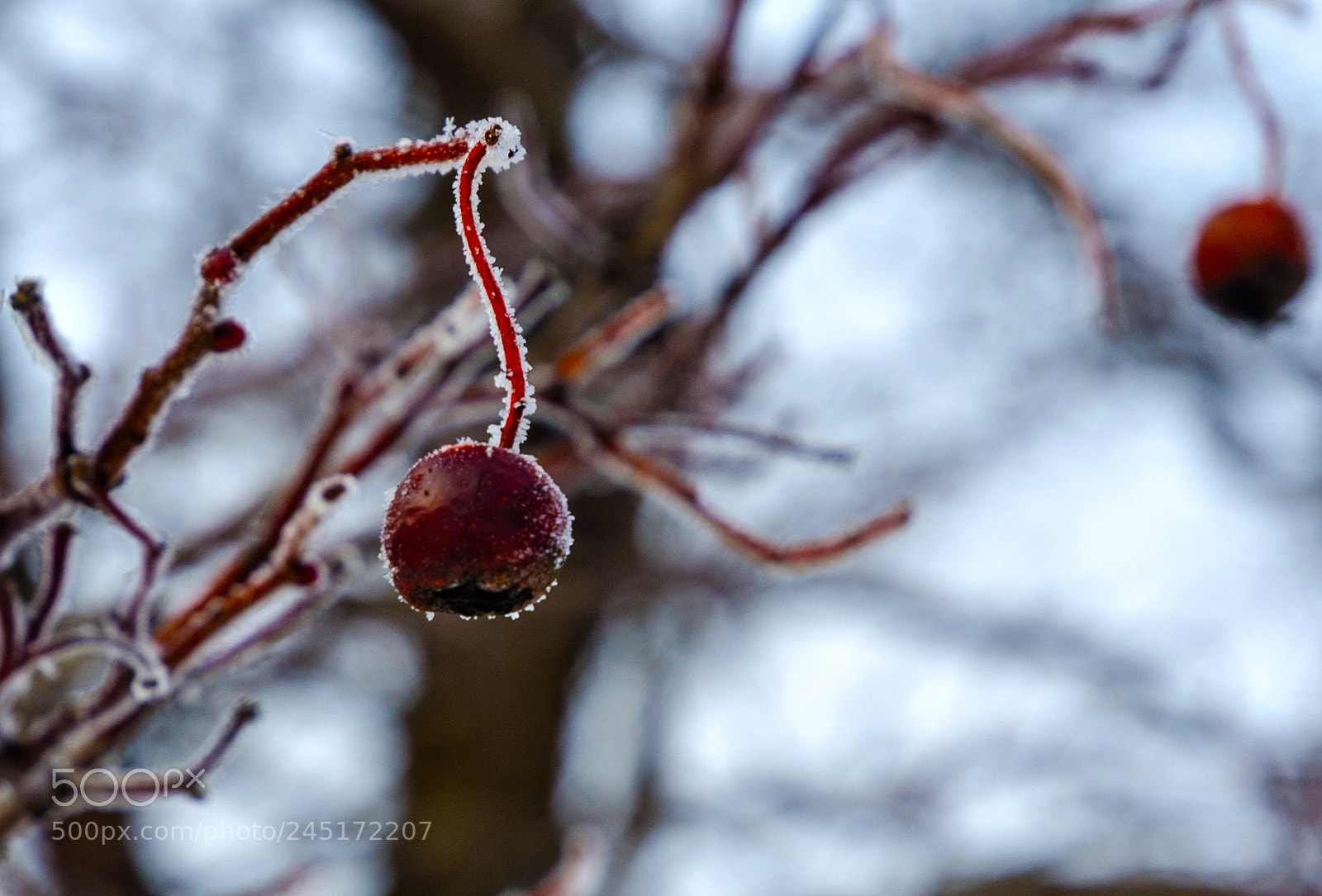 Nikon D5100 sample photo. 320 photography
