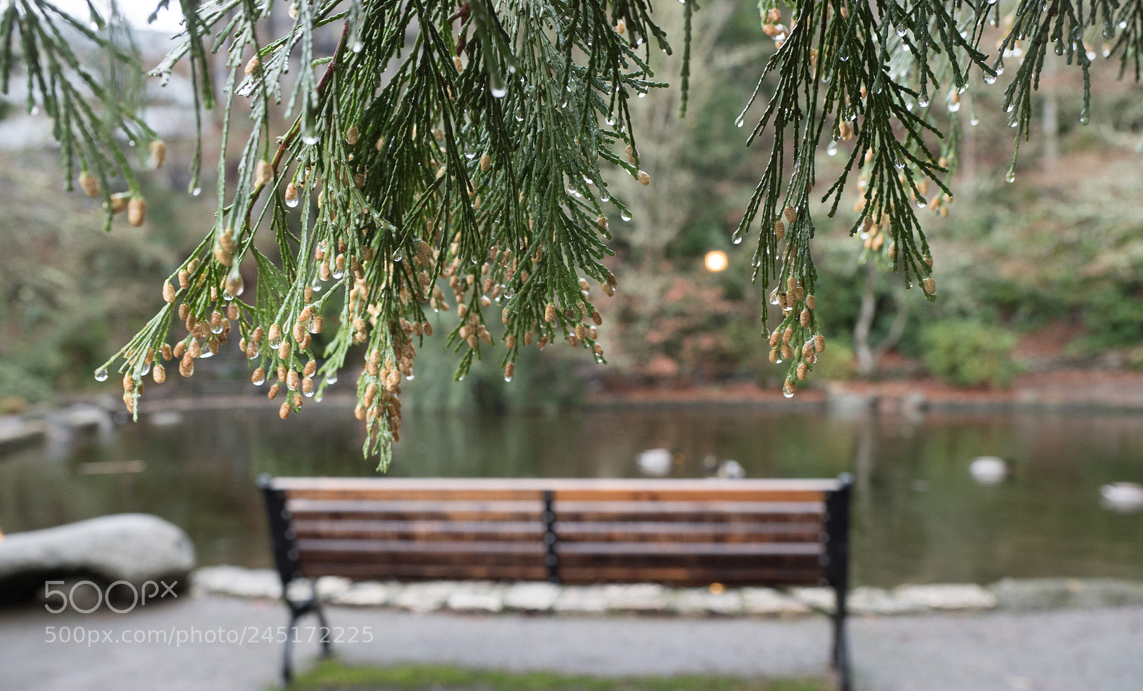 Olympus OM-D E-M5 II sample photo. Untitled photography