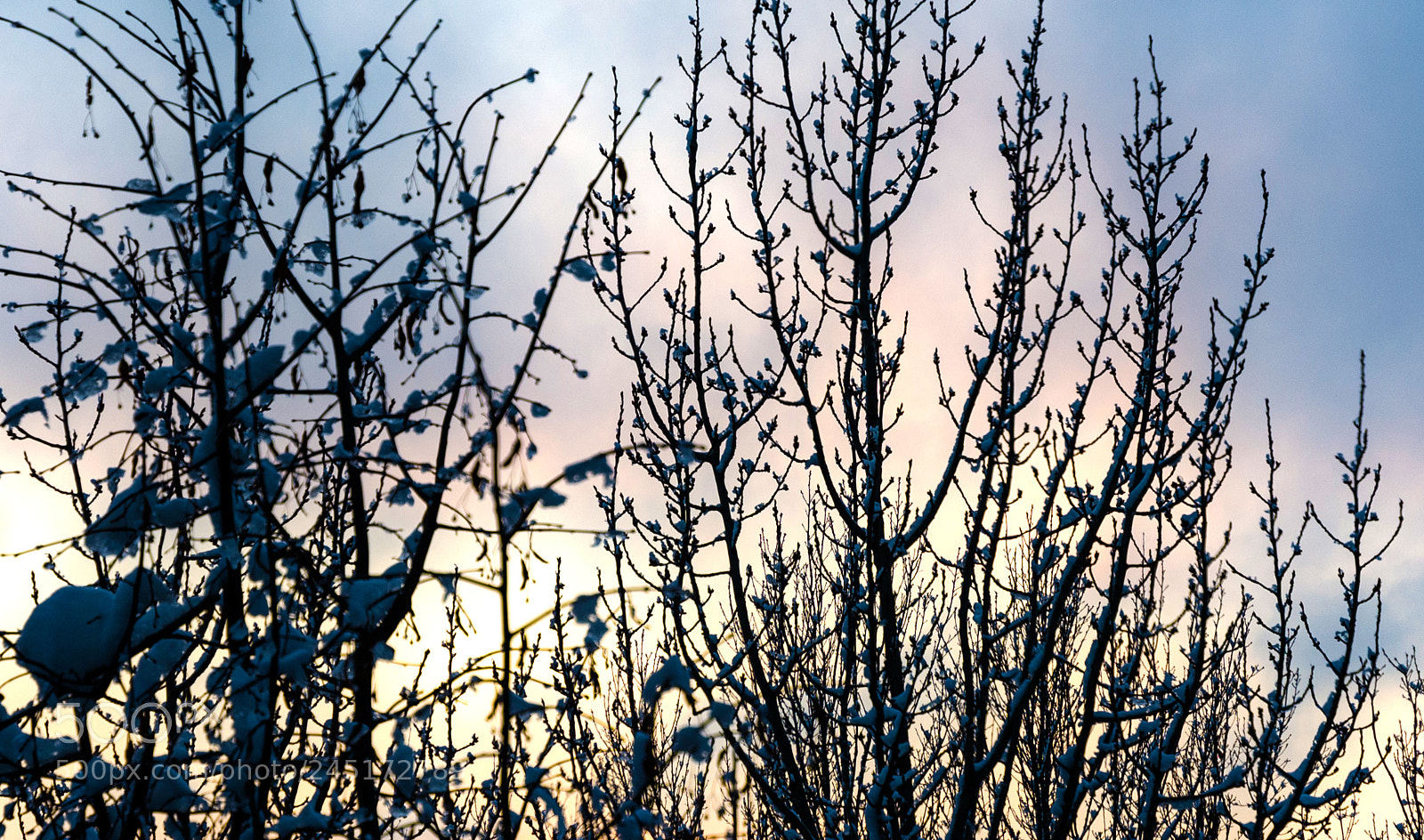 Nikon D5100 sample photo. 312 photography