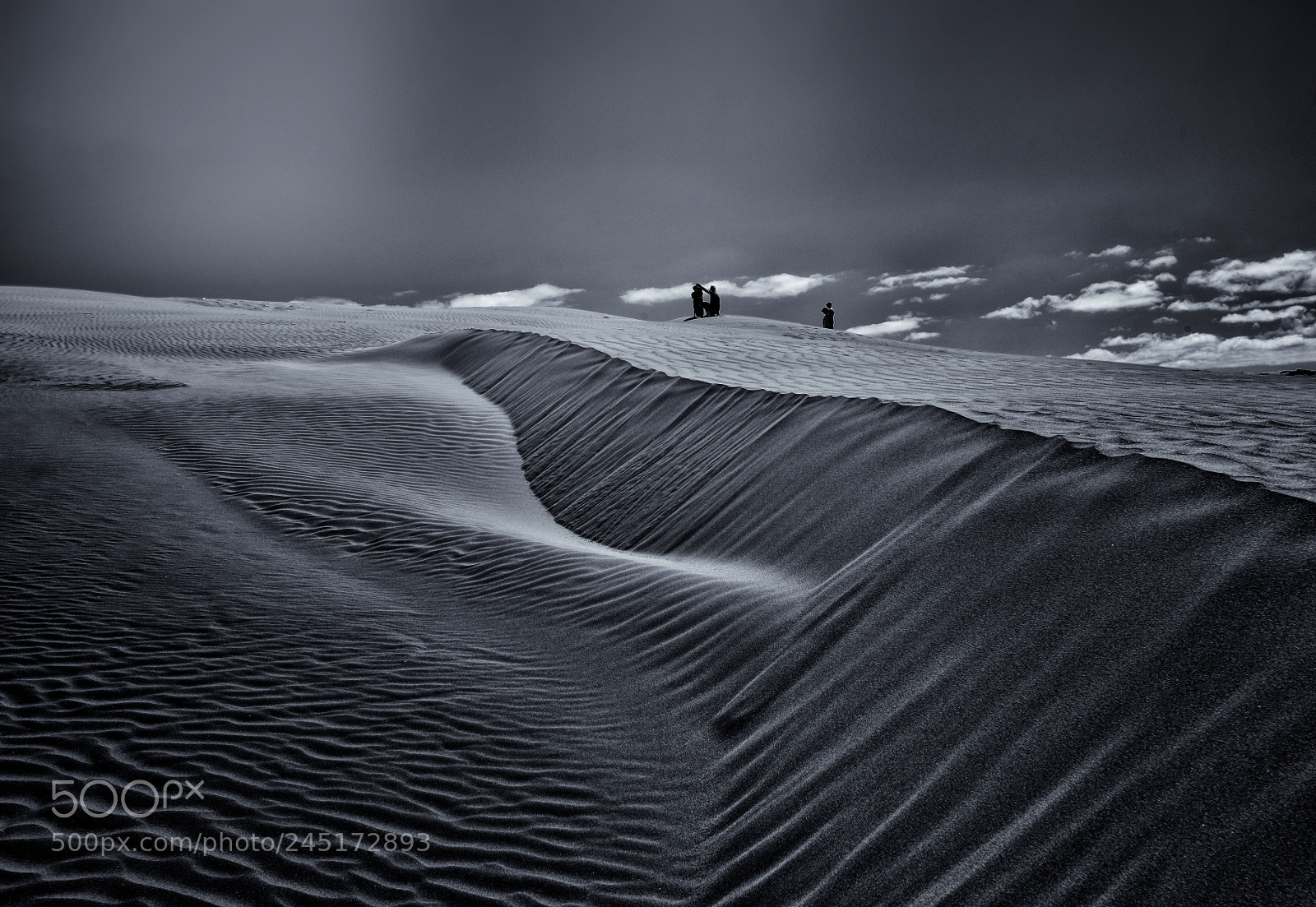 Nikon D810 sample photo. Sand dunes in port photography