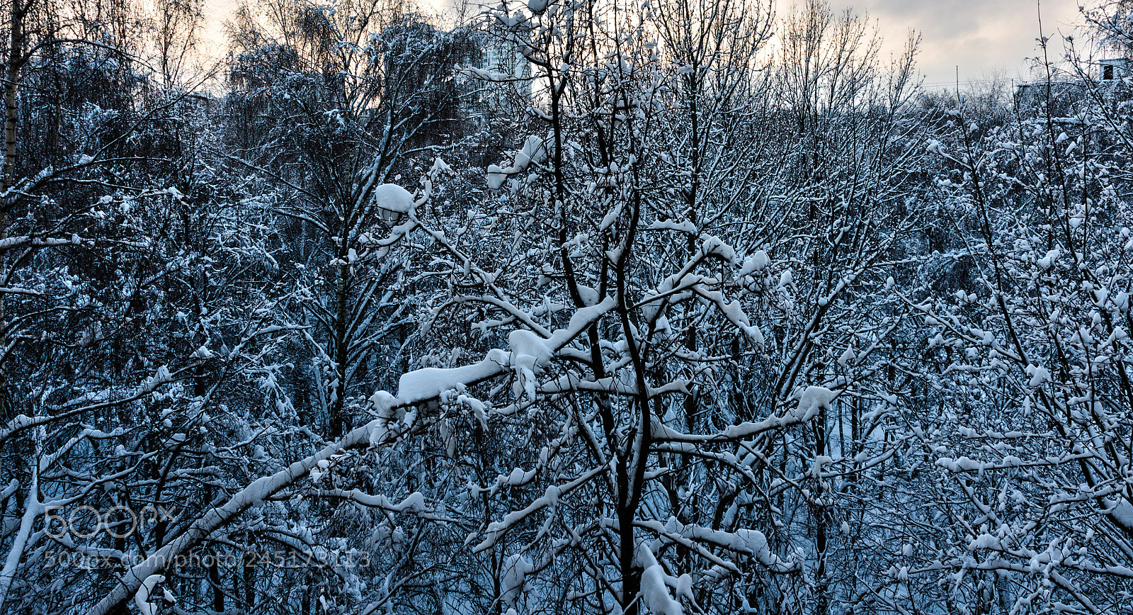 Nikon D5100 sample photo. 322 photography