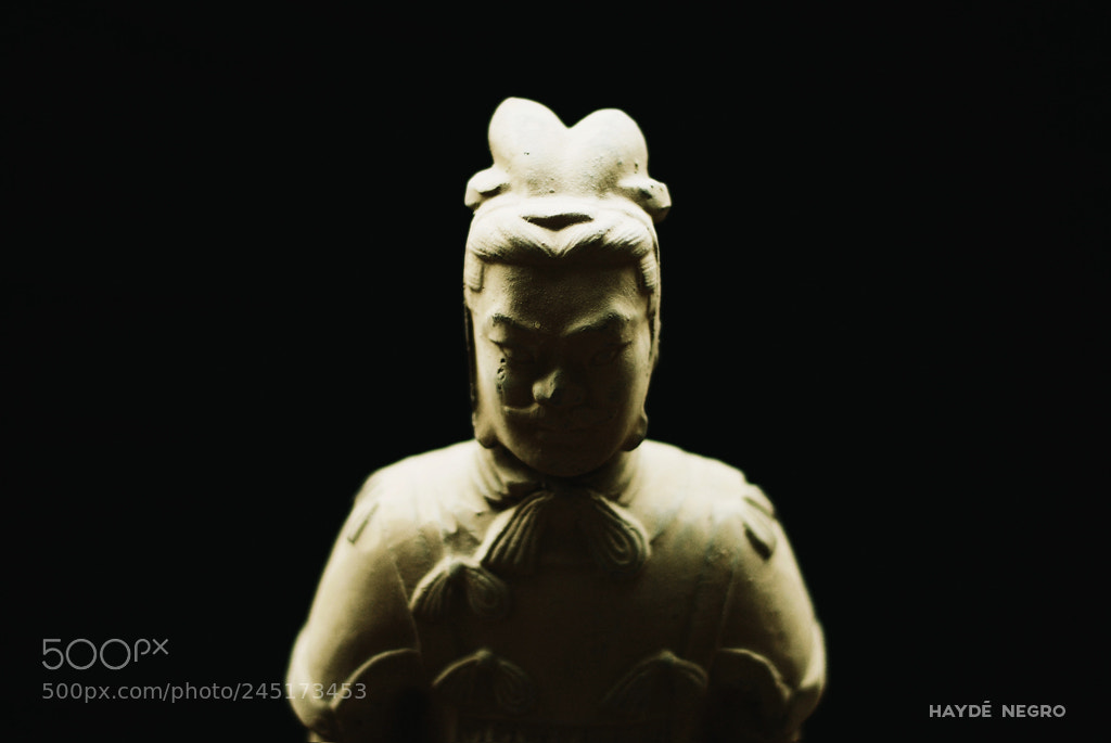 Nikon D60 sample photo. Terracotta photography