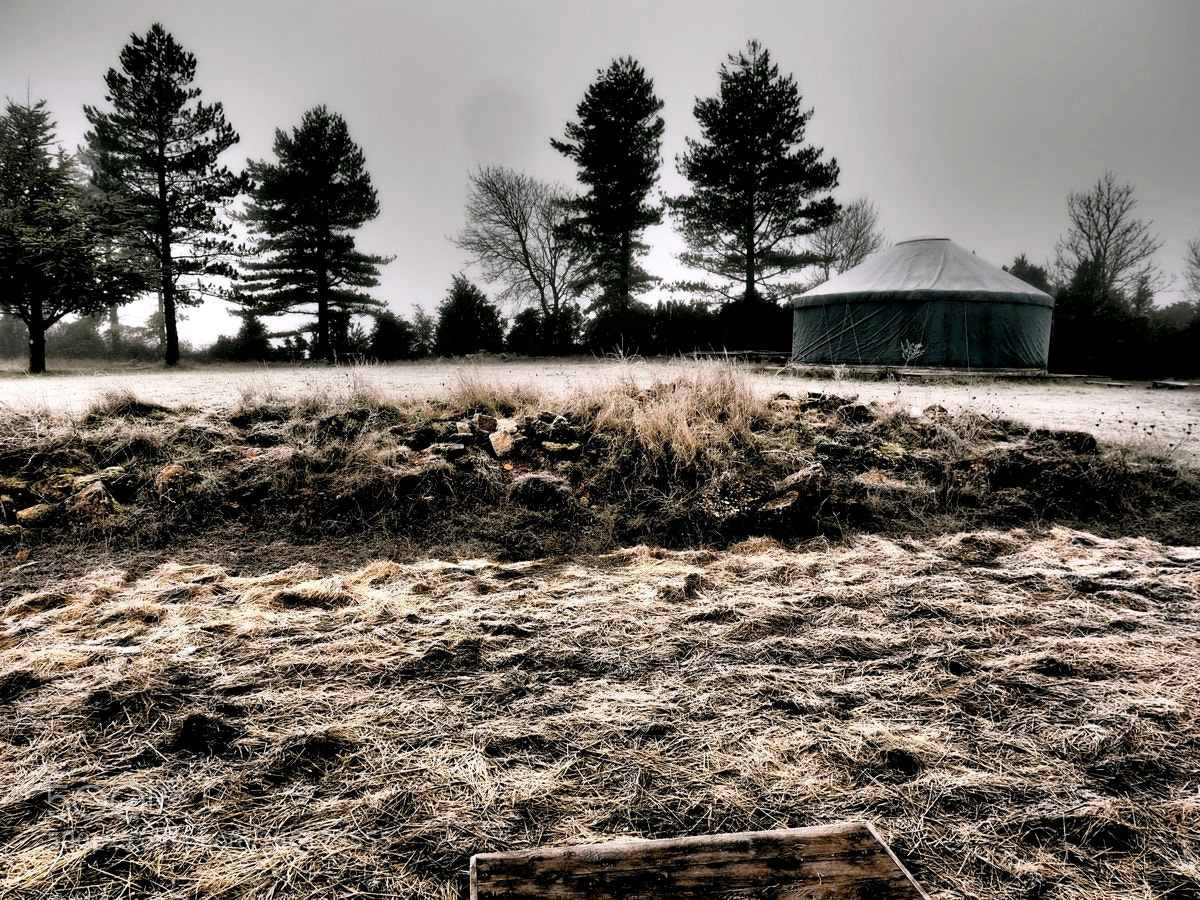 Olympus OM-D E-M5 II sample photo. Prairie gelée photography